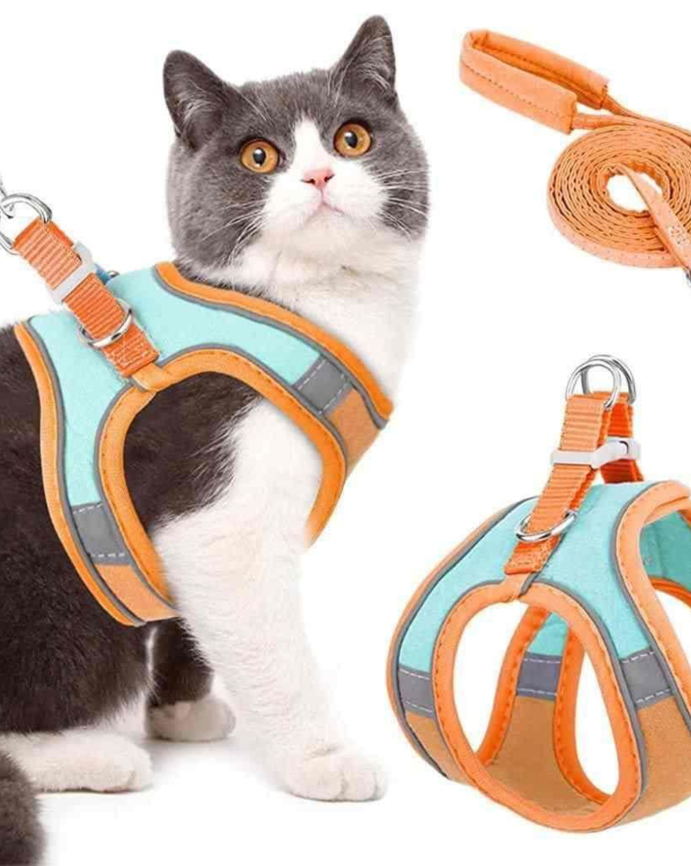 Breathable Vest Harness & Leash Set for Cats and Small Dogs