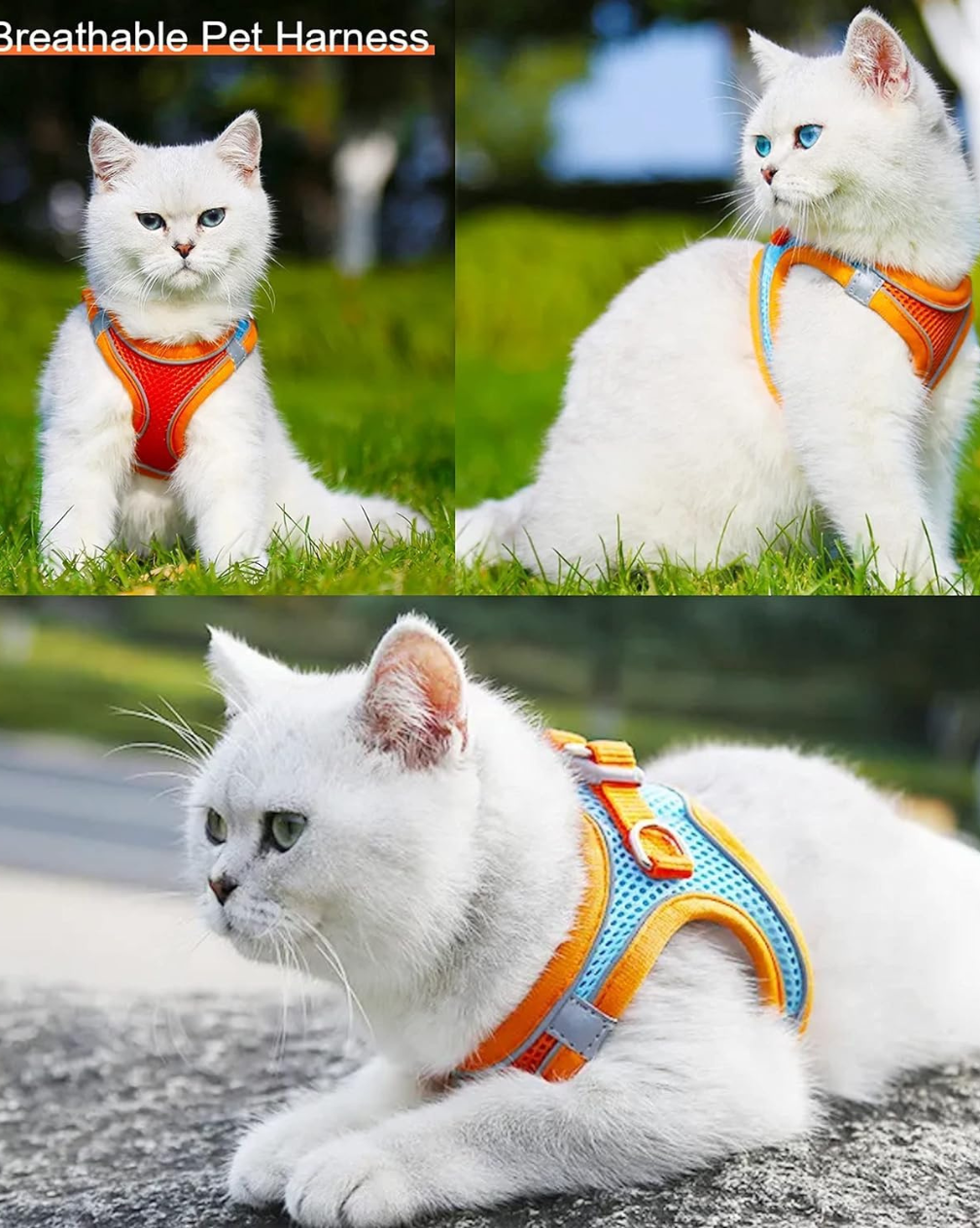 Breathable Vest Harness & Leash Set for Cats and Small Dogs