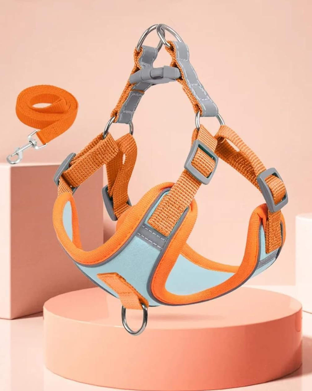Breathable Vest Harness & Leash Set for Cats and Small Dogs